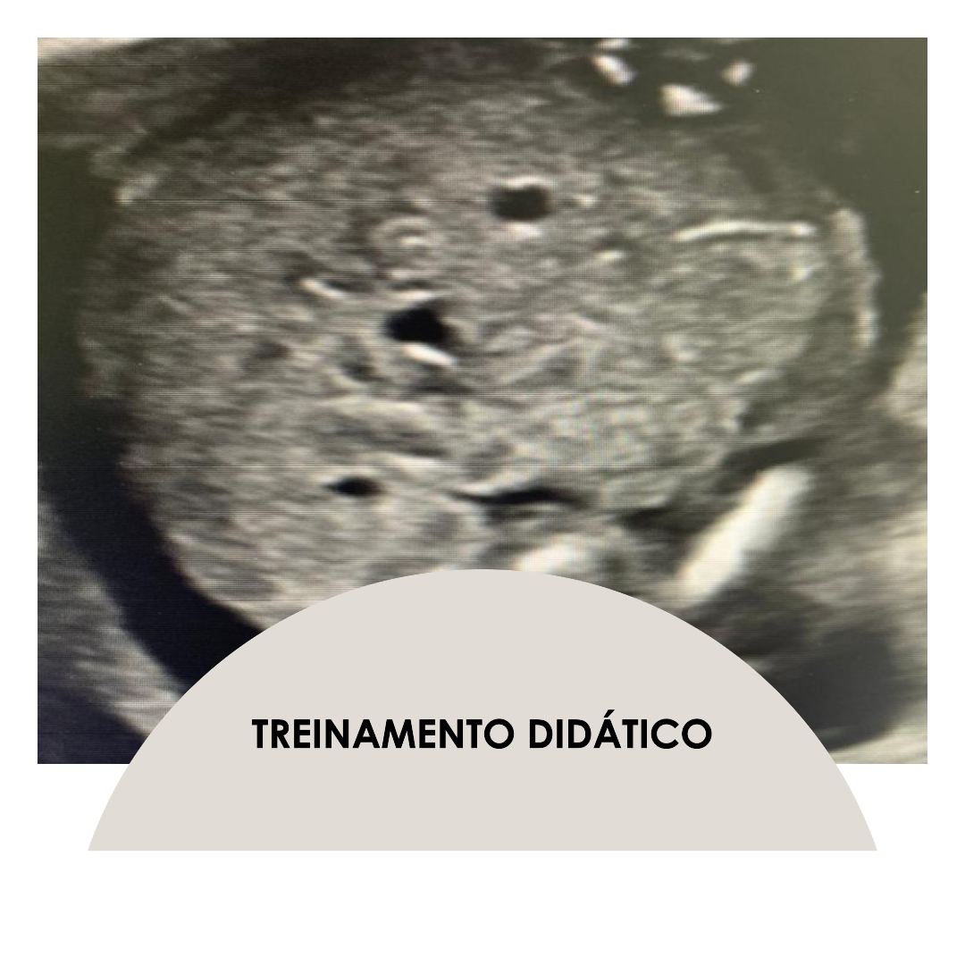 Planos anatômicos ultrassonográficos